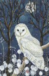 (image for) Spirit Guide - by Elaine Serenum